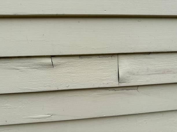 Best Siding for Multi-Family Homes  in Jacksonville, TX